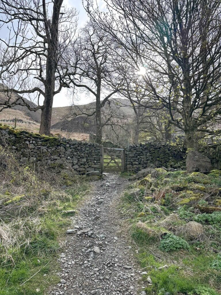 A small wooden gate in a stone wall