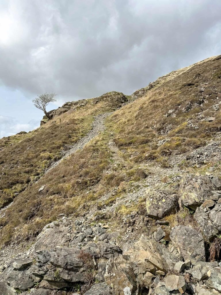 A steep, scree covered path