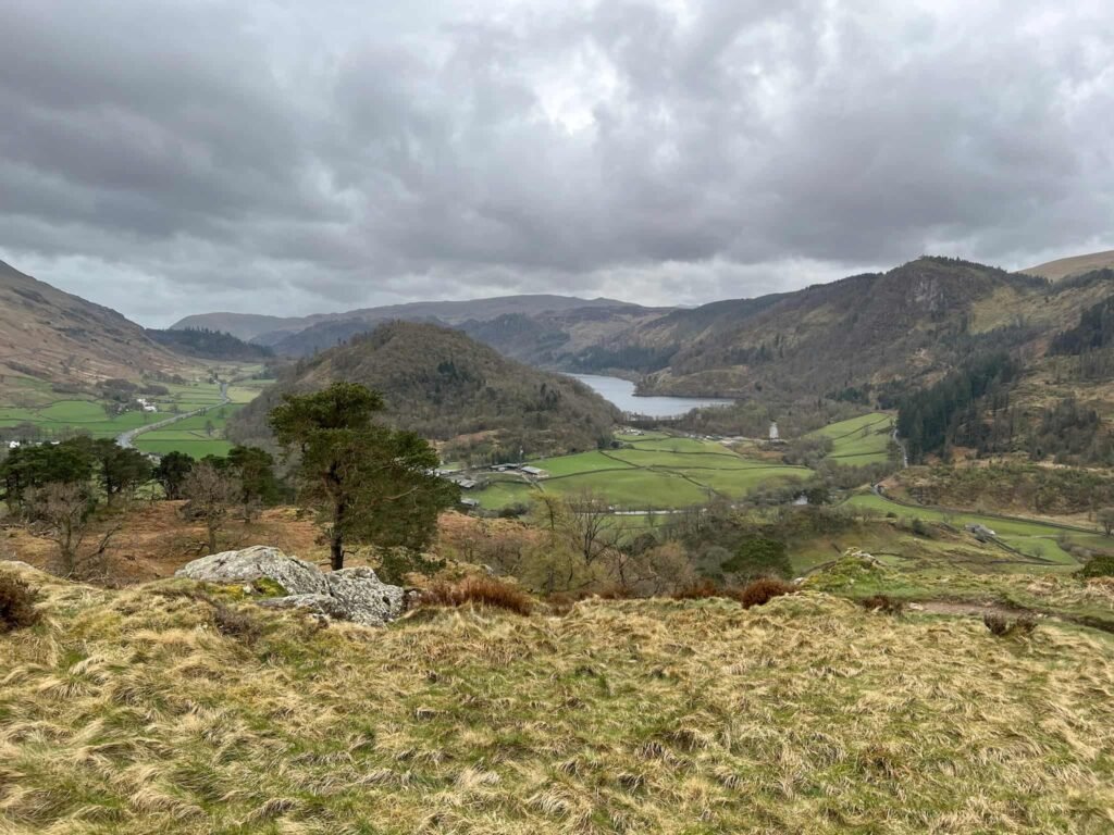 A view of Great How and Thirlmere from Wren Crag