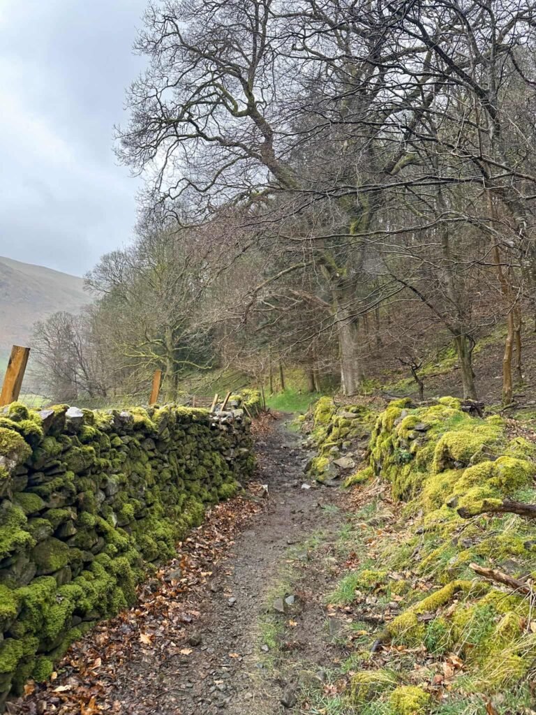 Coffin Road from St Johns in the Vale Church