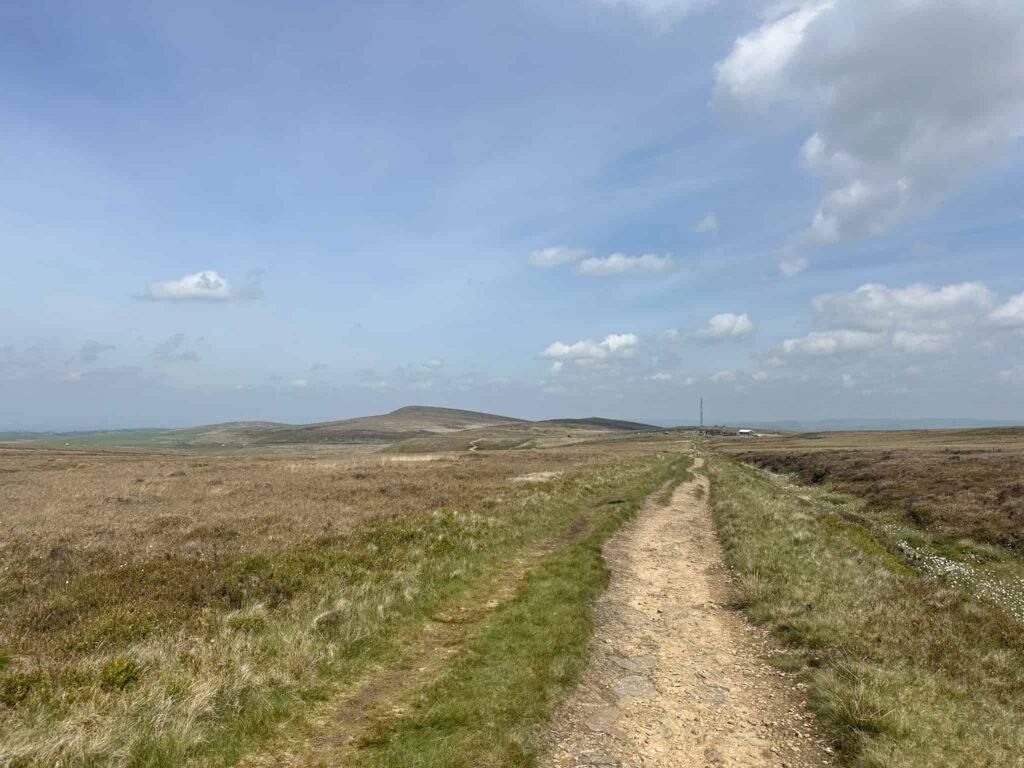 A moorland path near the Cat and Fiddle