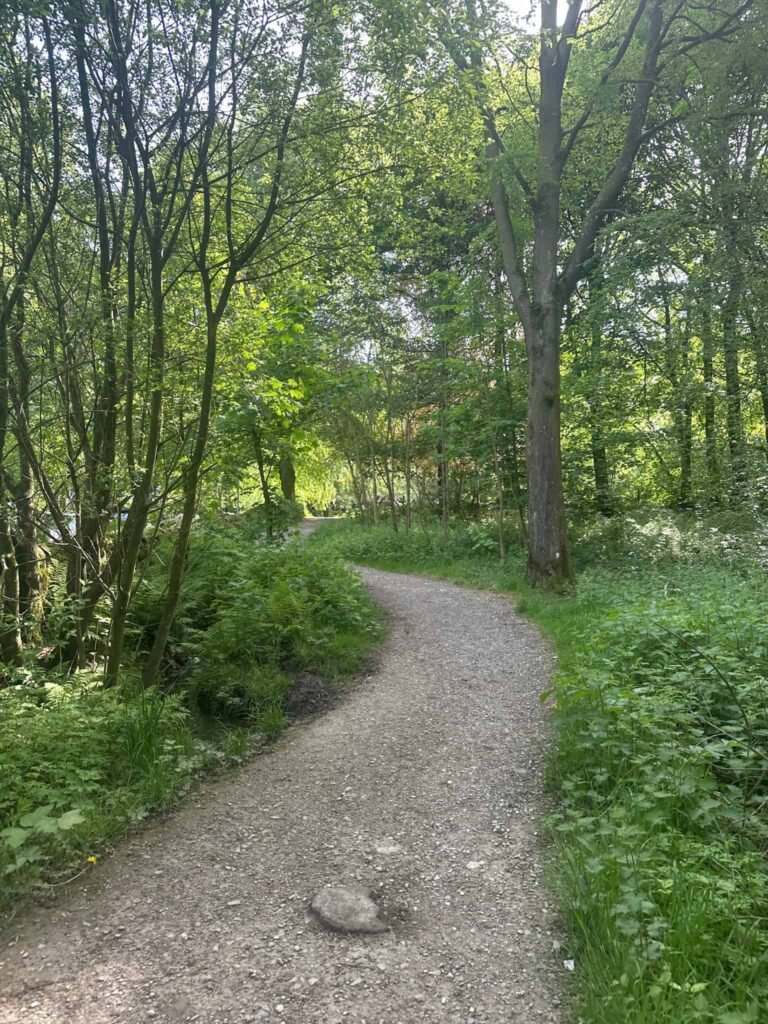 A pleasant shady woodland path