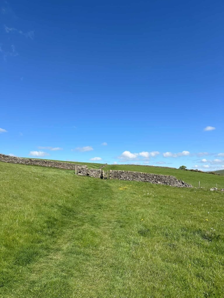 A footpath through a field