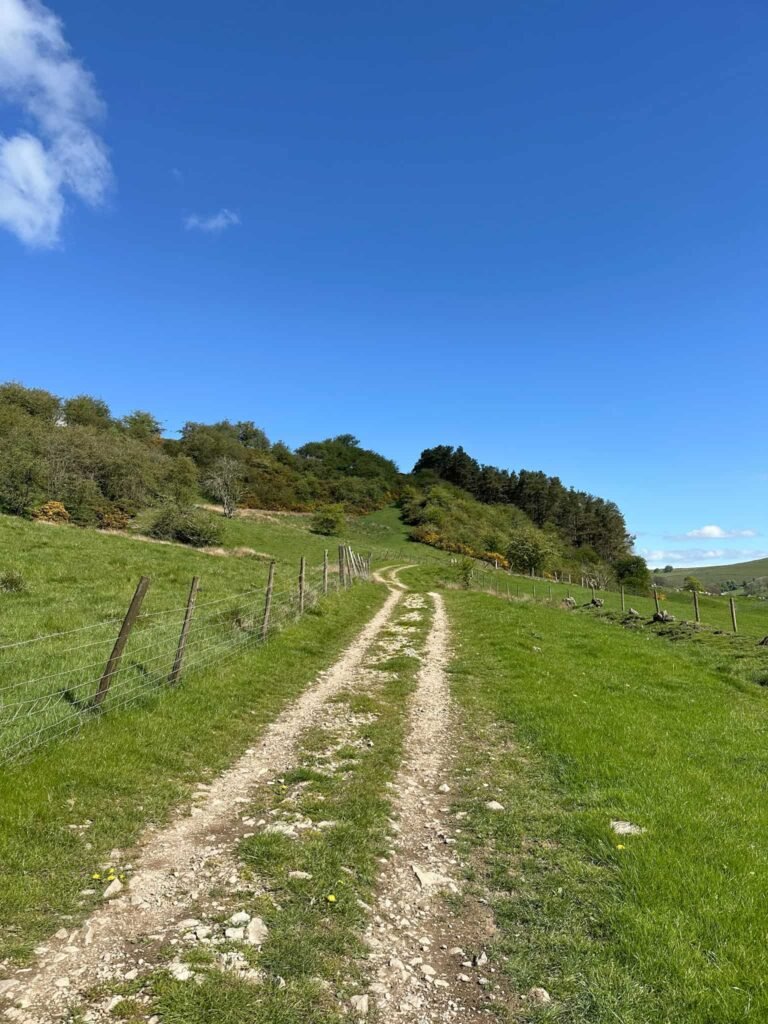A rough track leading up a hillside