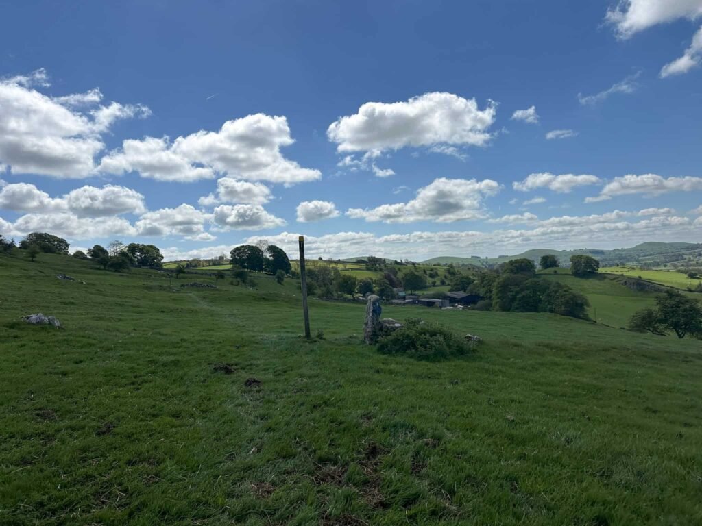 A stone gatepost in a field
