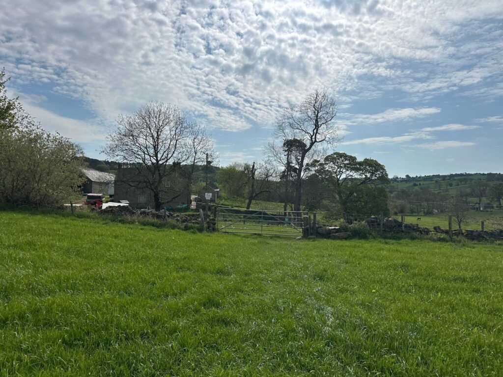 Grassy fields