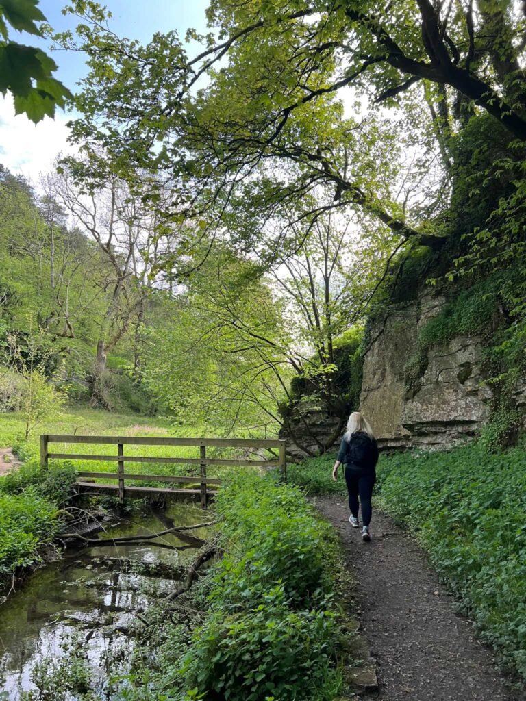 A woman about to cross a small wooden bridge