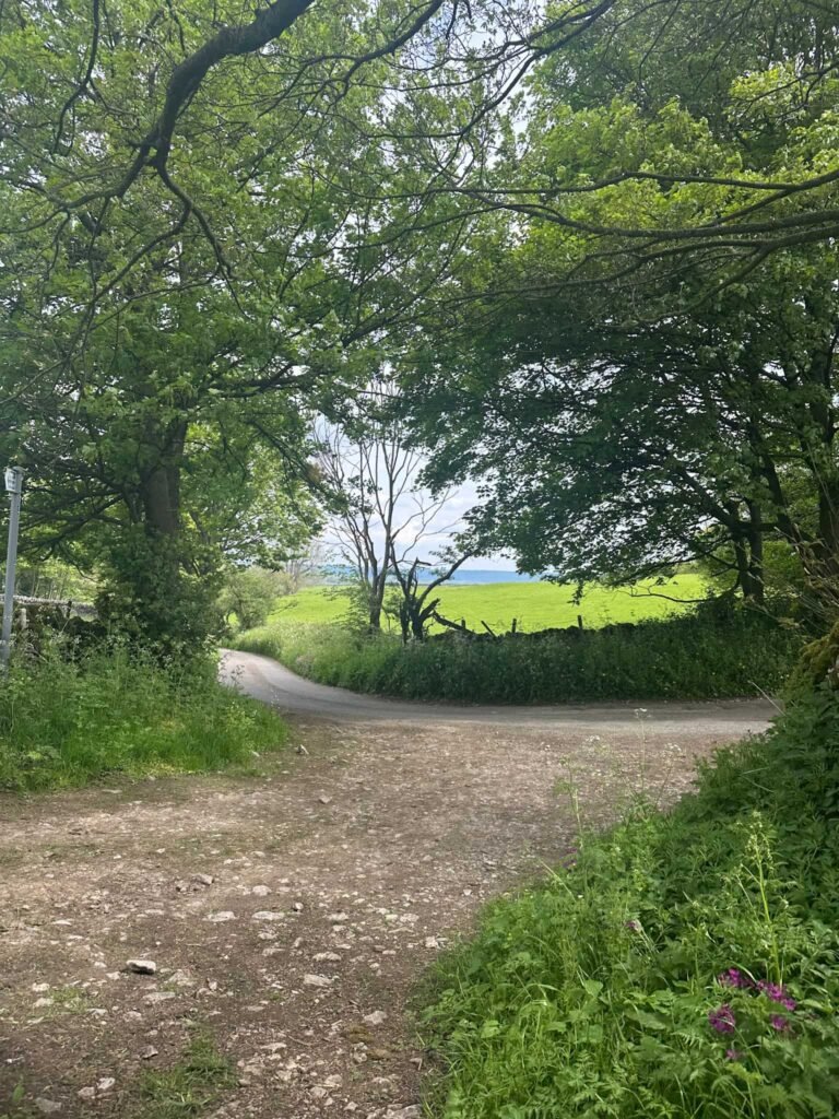 A country lane