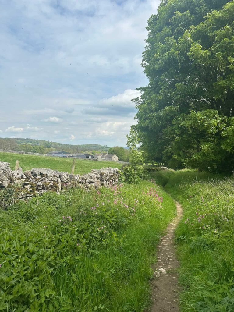 A footpath running to the right of a field wall