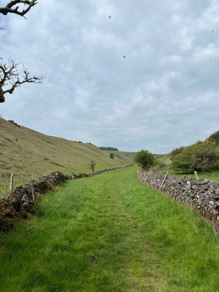 A view through a grassy valley