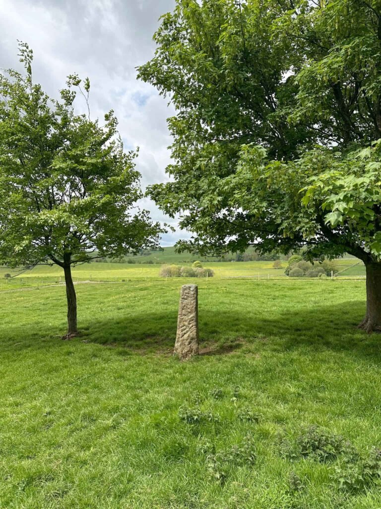 A standing stone in a field in Tissington