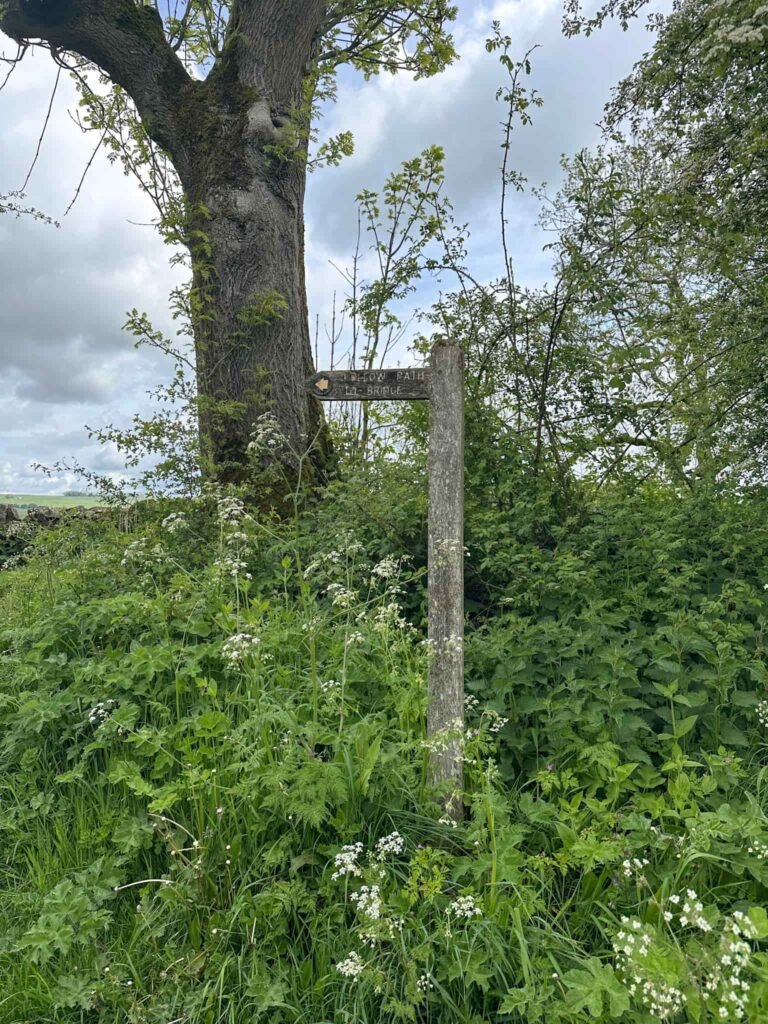 A wooden signpost with some white cow parsley flowers