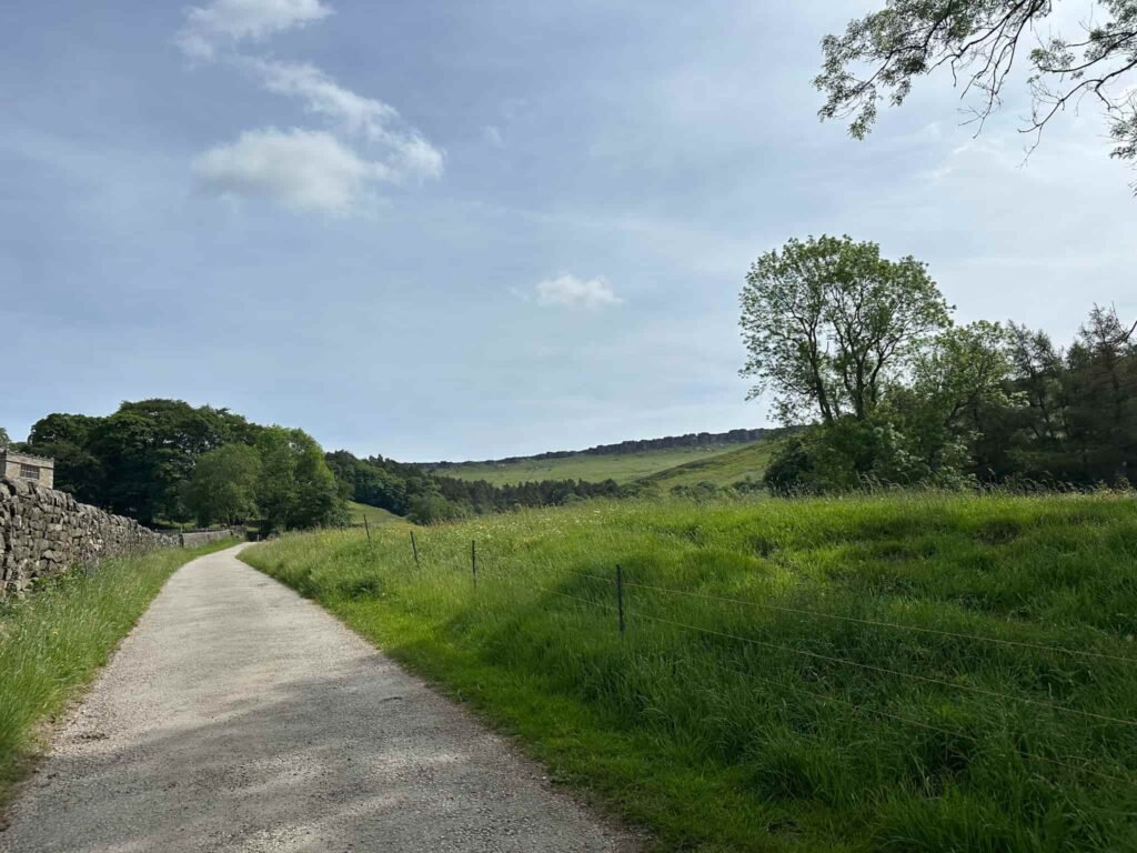 A grey gravel track running across fields