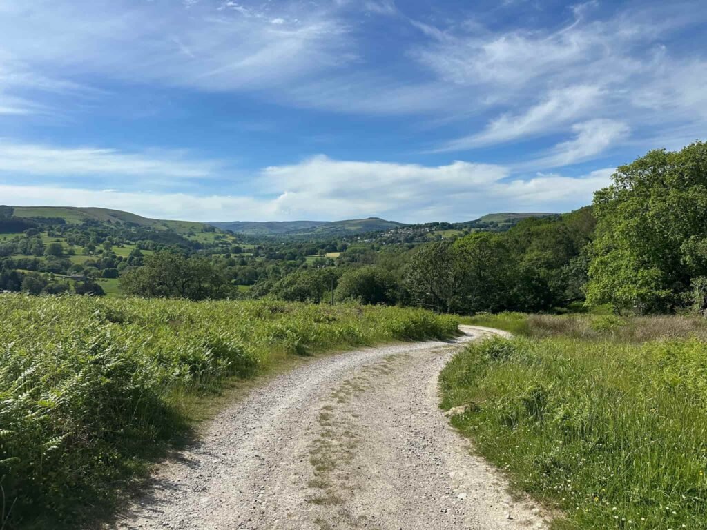 A sweeping view, with a grey stone track running off into the hills beyond