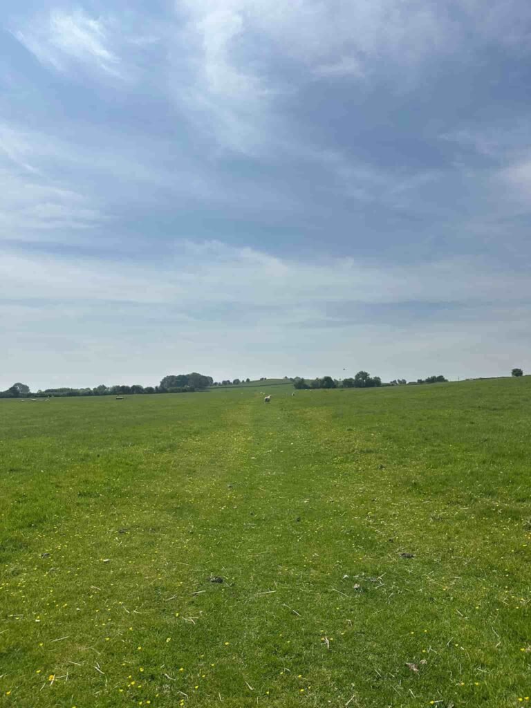 A field with a faint path across it.