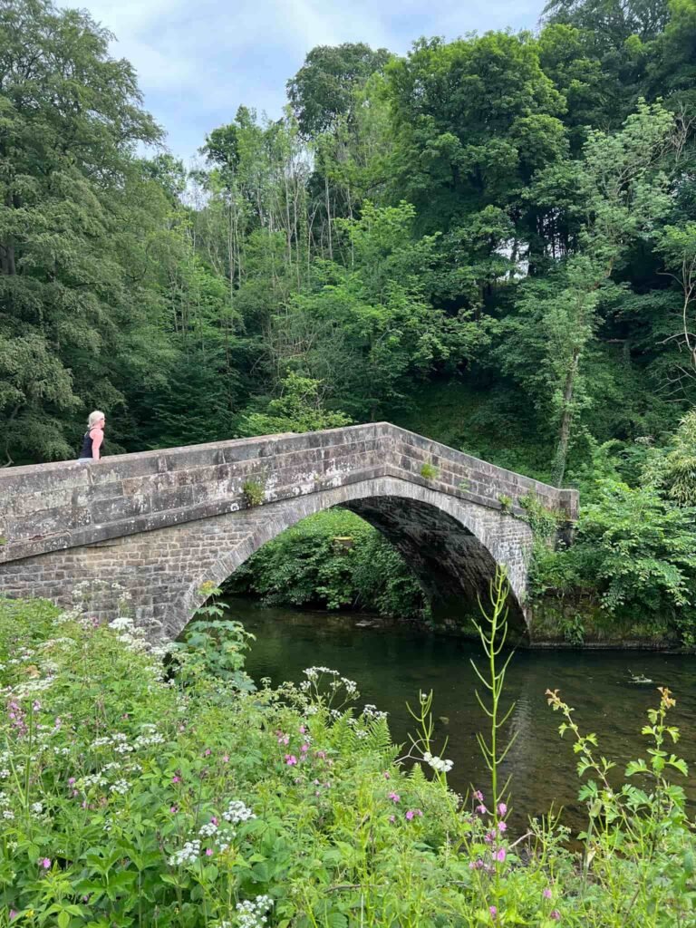 St Bertram's Bridge, a stone bridge in Ilam Park