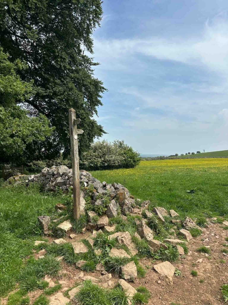 A wooden signpost