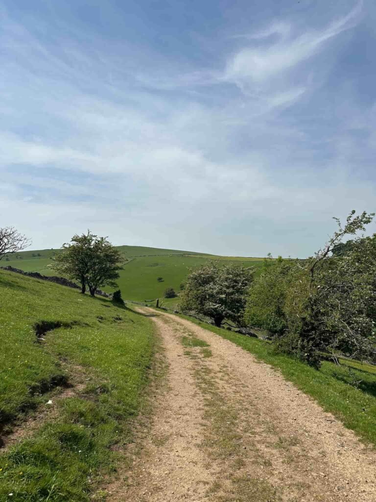 A track through a field