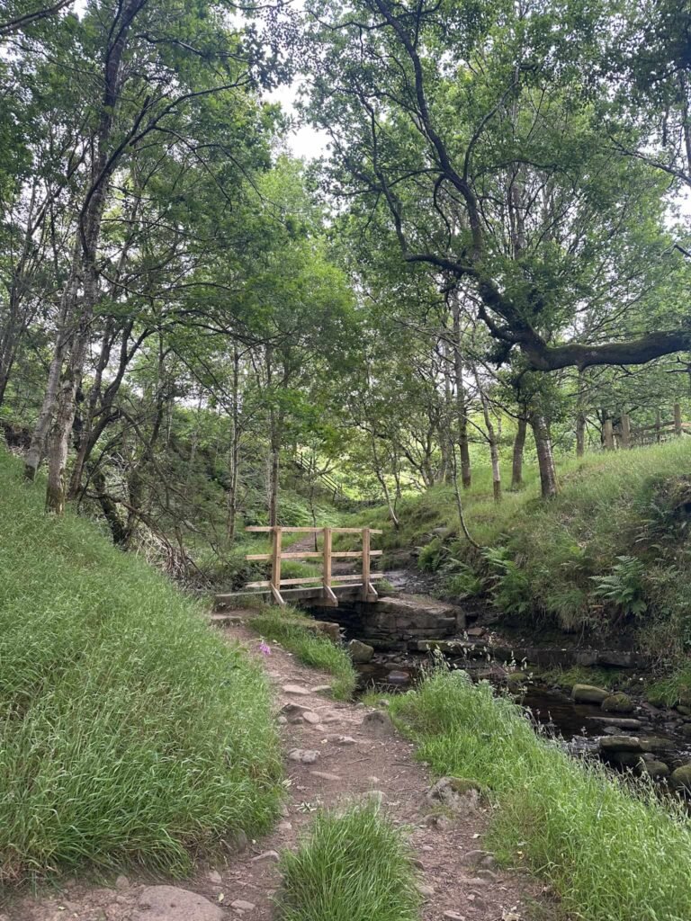 A wooden bridge over a stream in the woods near Barber Booth