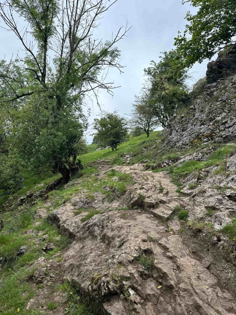 A rocky limestone path
