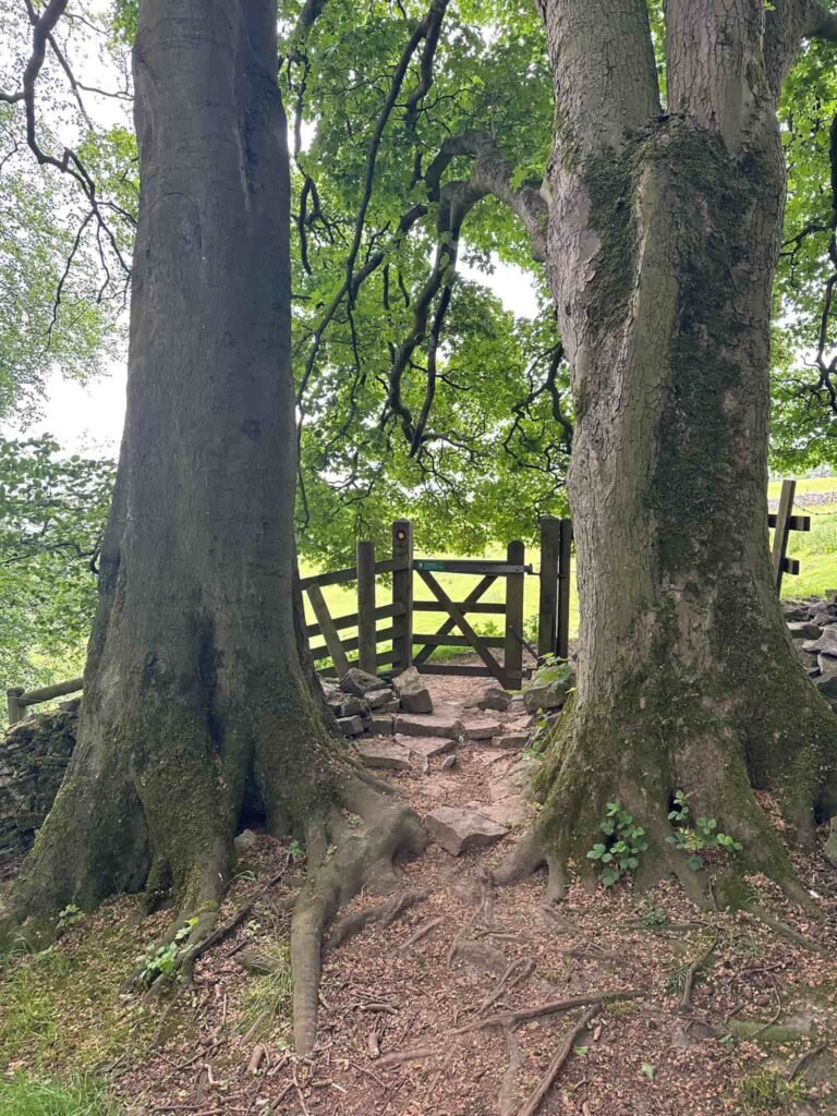 A wooden gate in between two trees