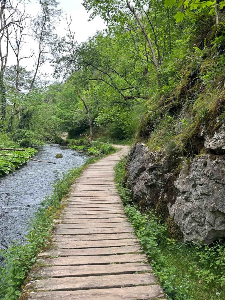 A wooden boardwalk next to the River Dove