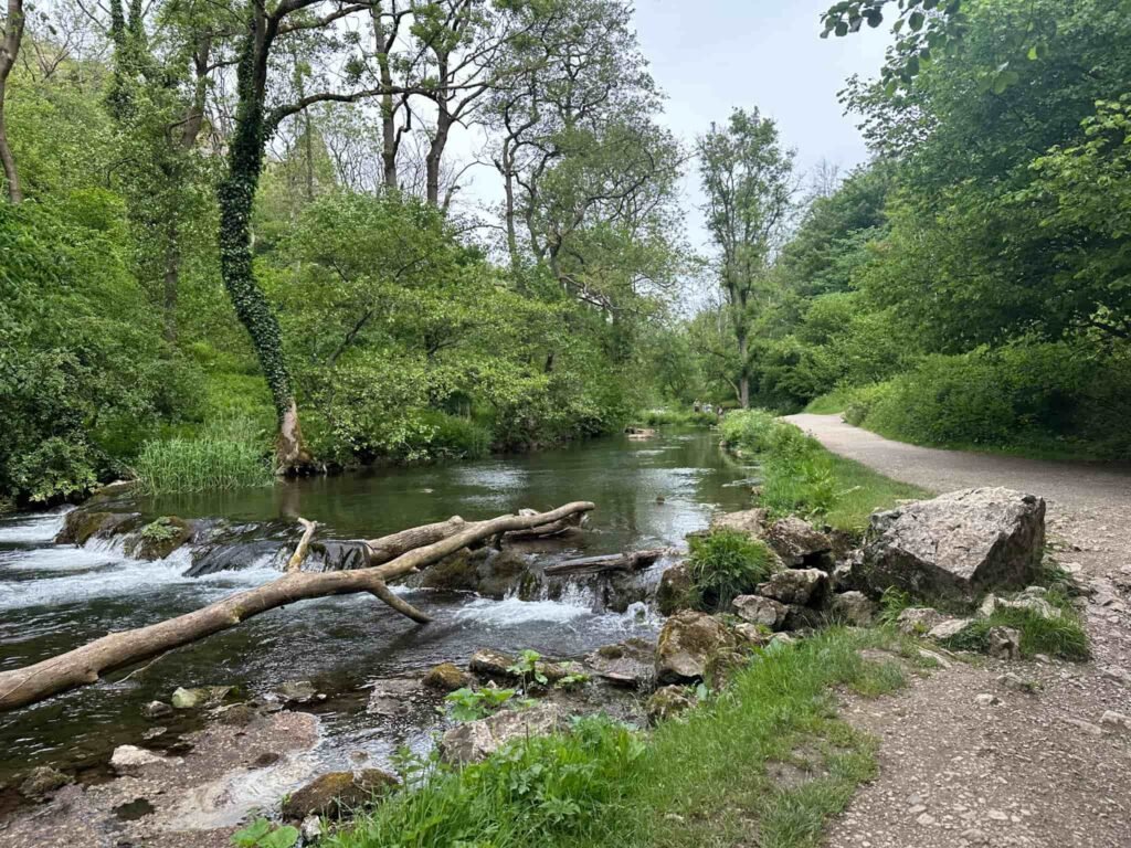 A riverside path