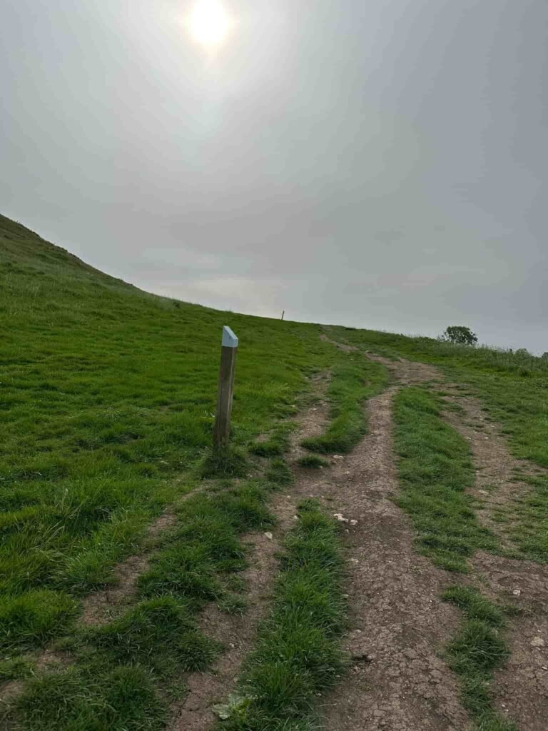 Blue topped markers on Thorpe Cloud
