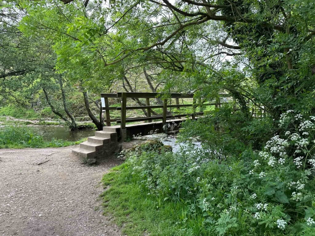 A wooden footbridge over the River Dove