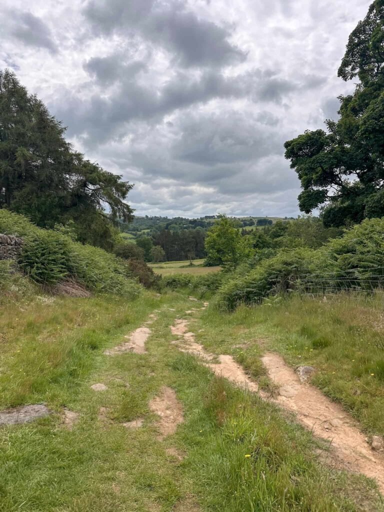 A track leading down to some fields