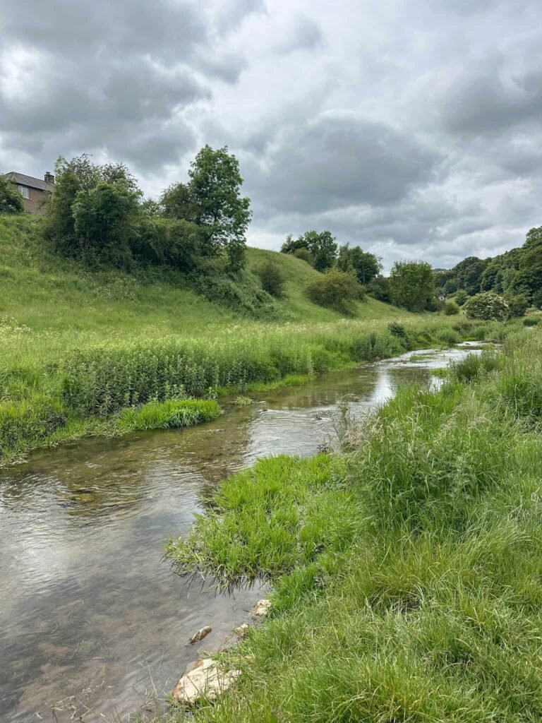 River Bradford
