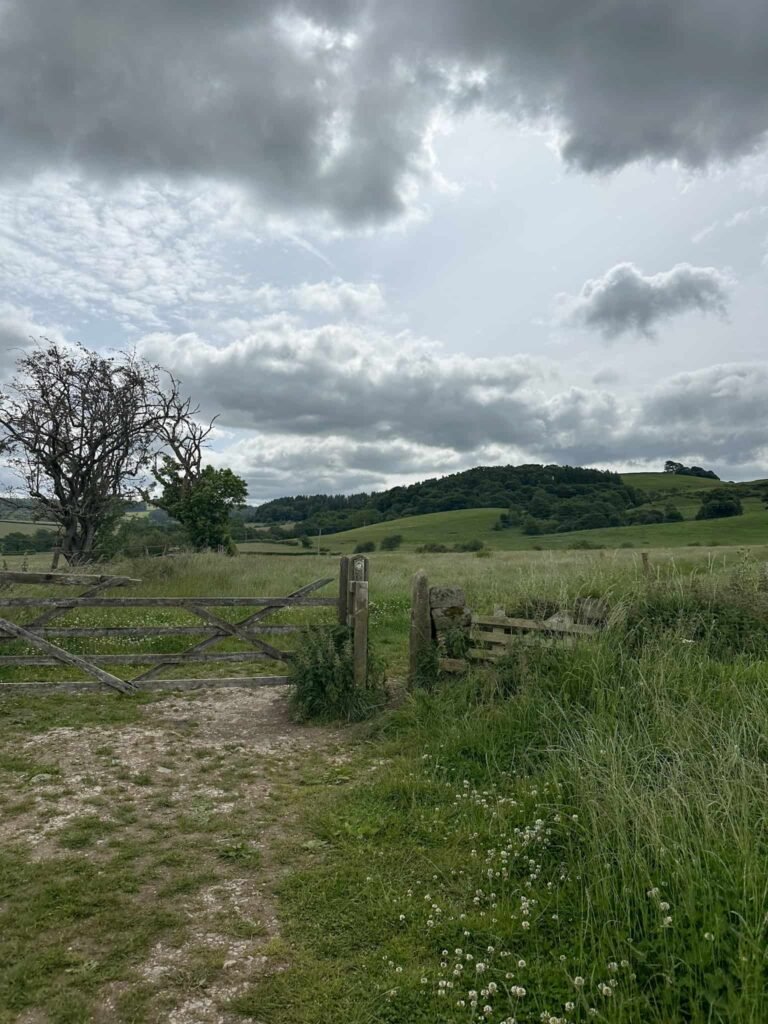 A footpath through fields
