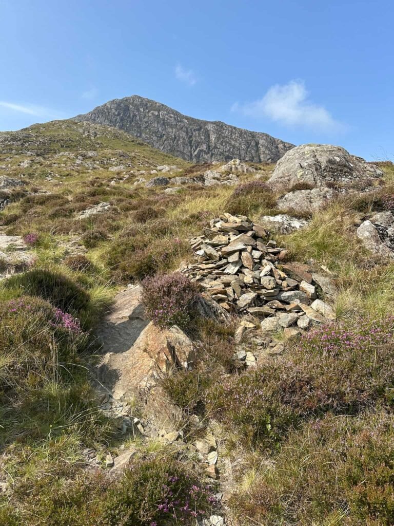 Moel Hebog