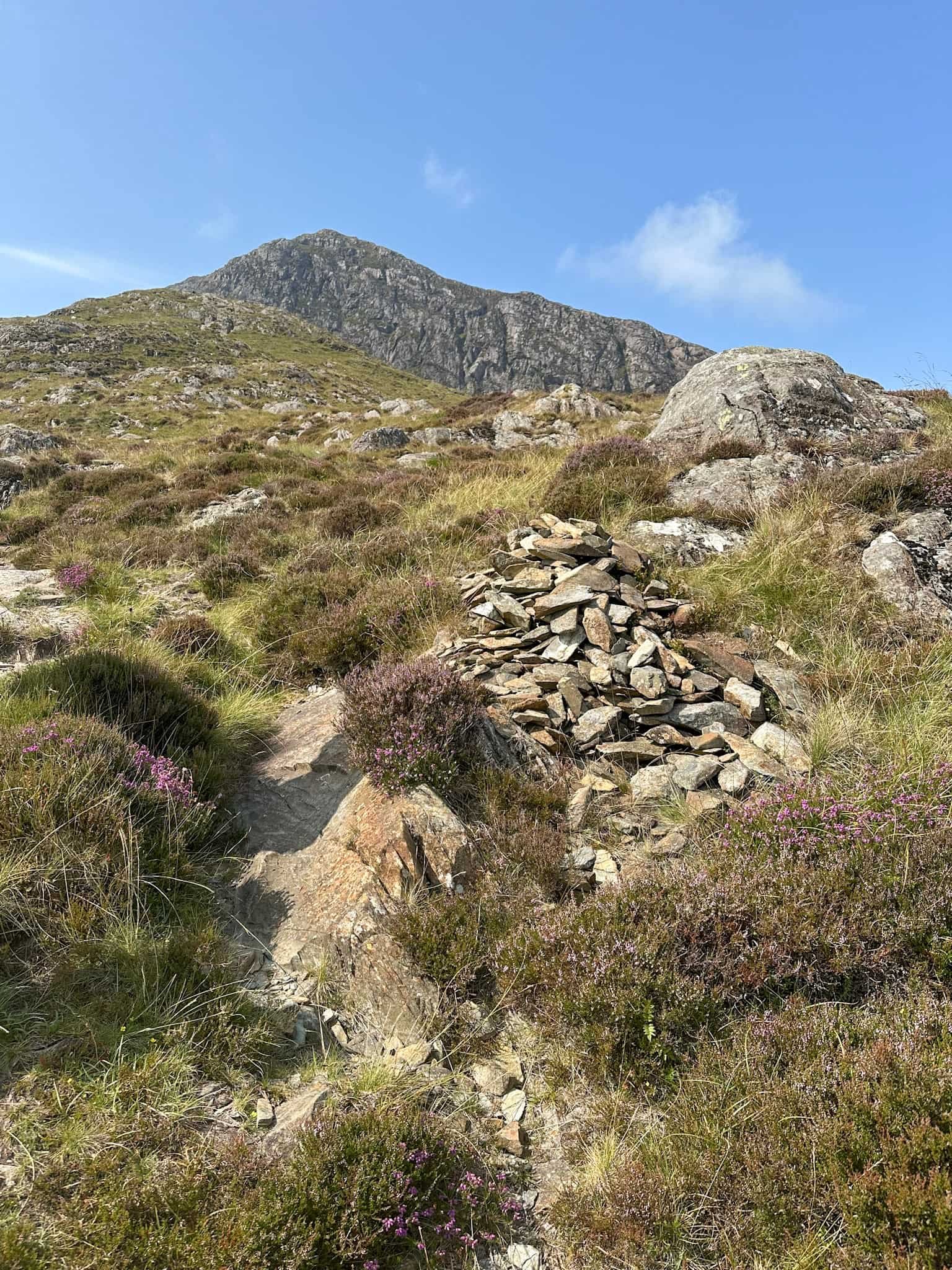 Moel Hebog