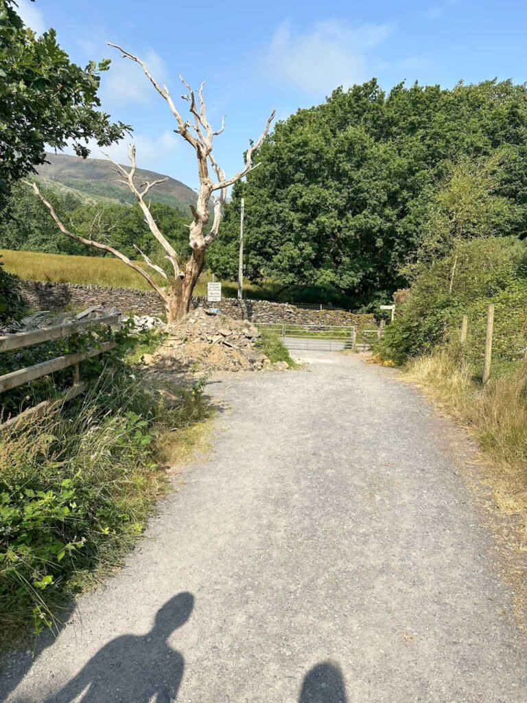 A gravel track