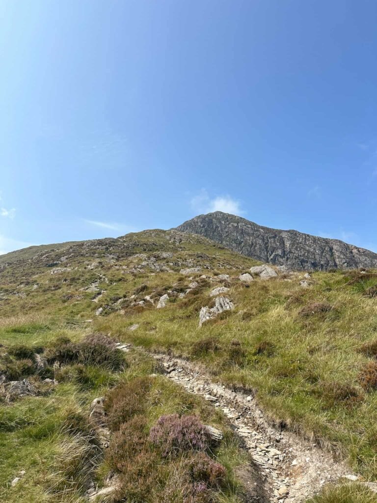 Moel Hebog