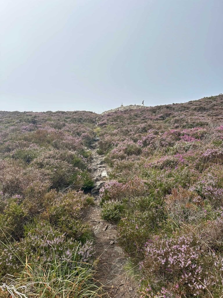 Path up to Yr Eifl