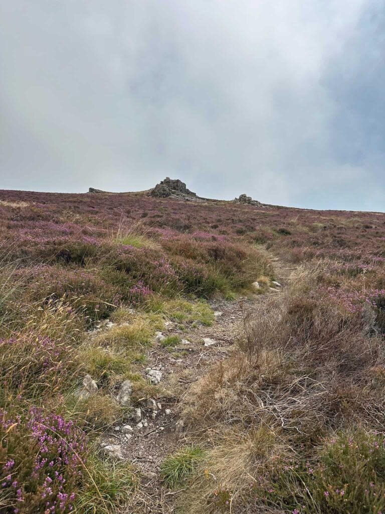 Caer Gribin, a rocky outcrop