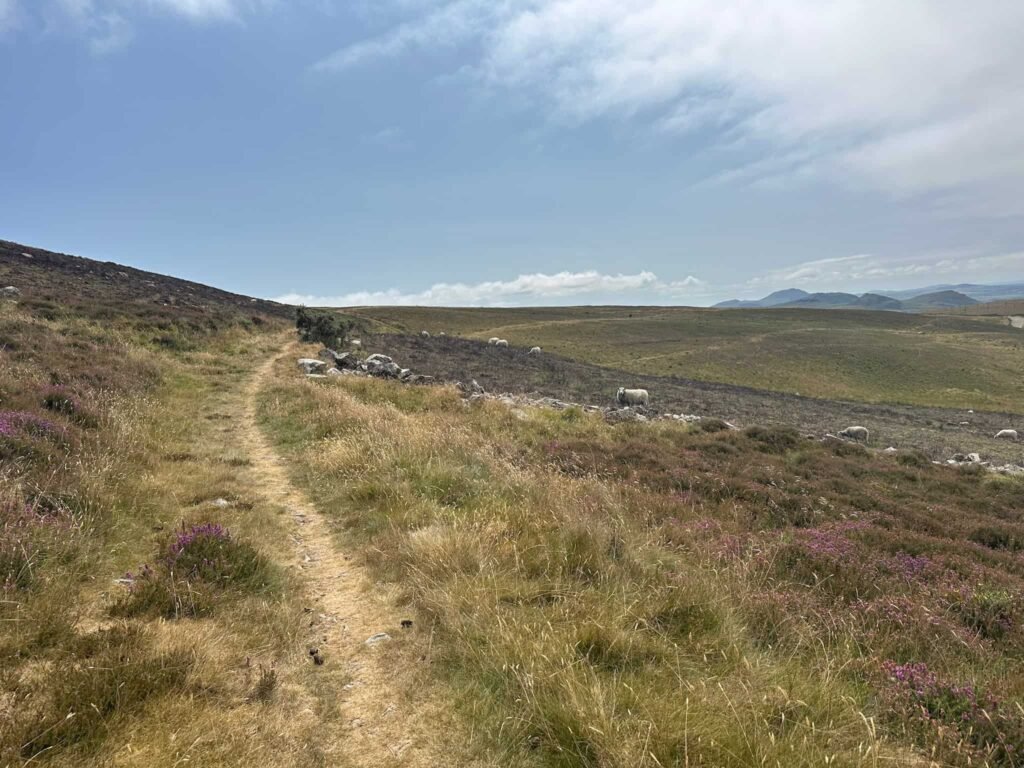 A moorland track