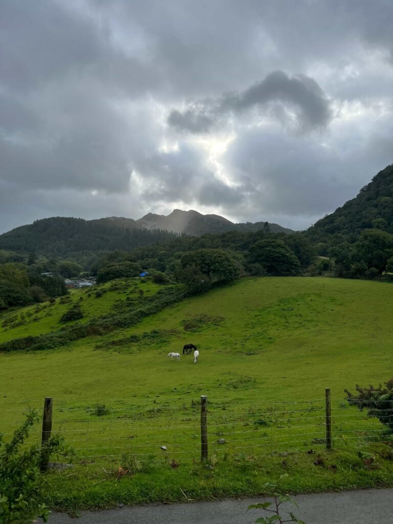 Mountain views