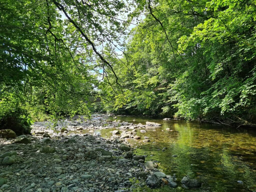 A view of a river with dappled sunlight coming through the trees