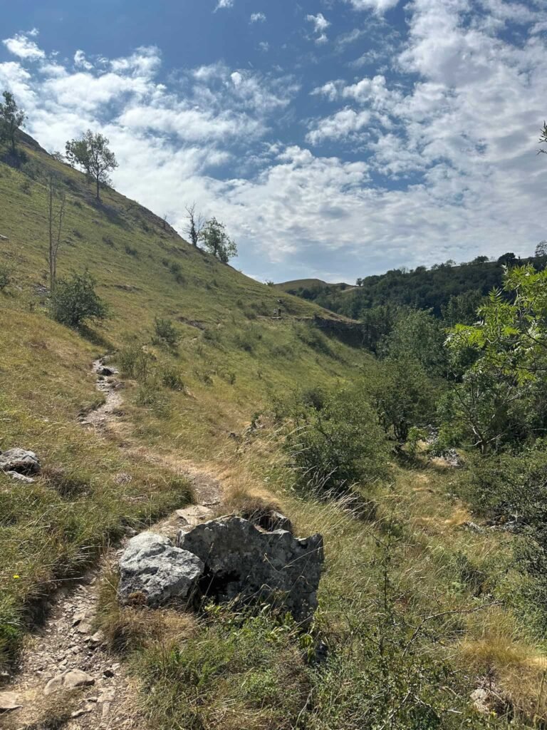 Monks Dale