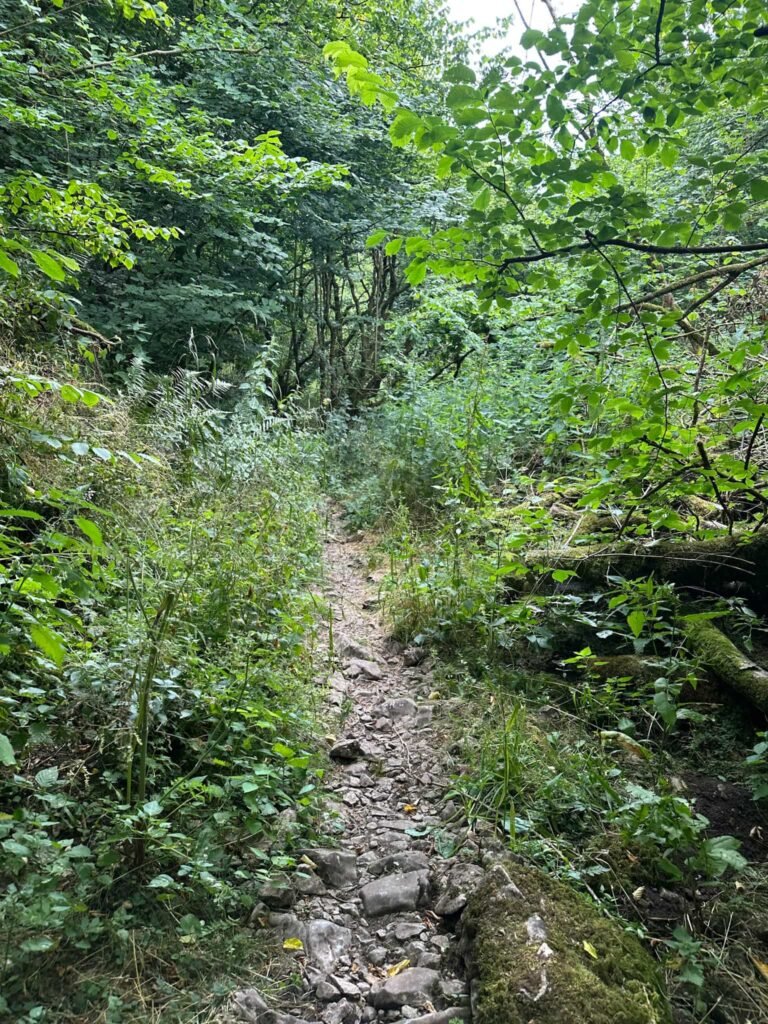 Monks Dale