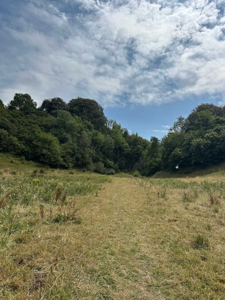 Monks Dale