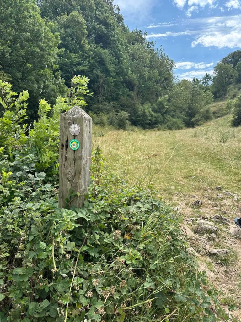 A wooden post with waymarkers in Peter Dale