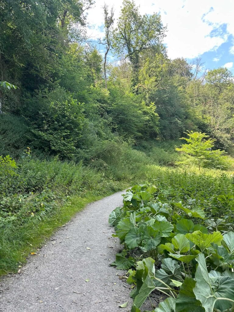 Tideswell Dale