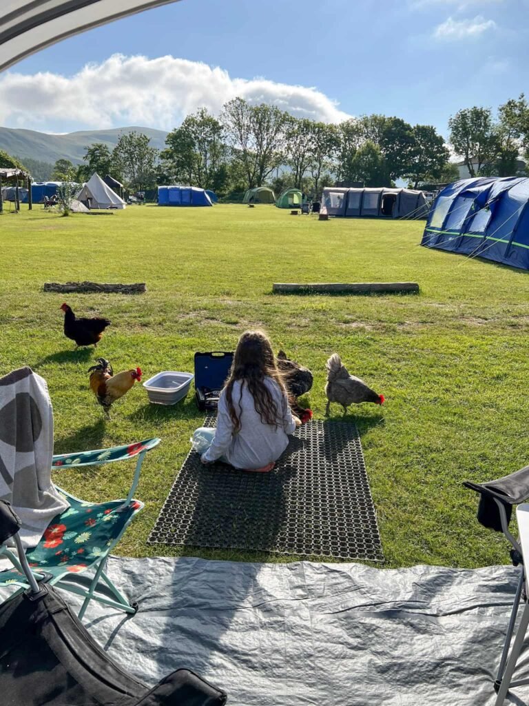 A small girl on a campsite feeding chickens