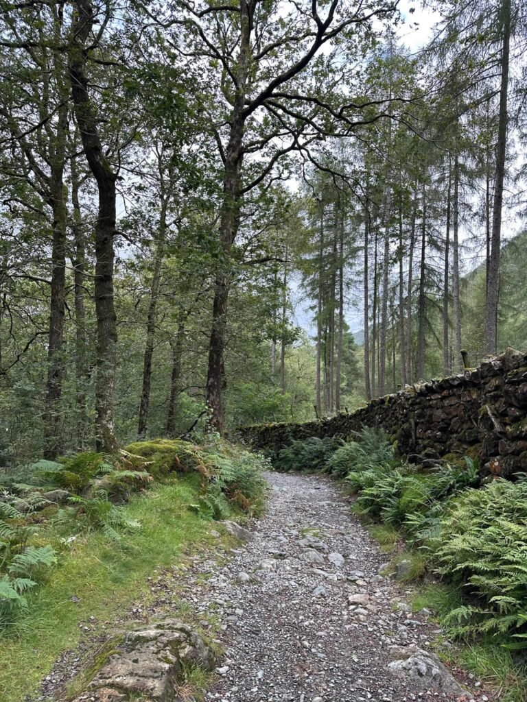 A woodland path on Castle Crag