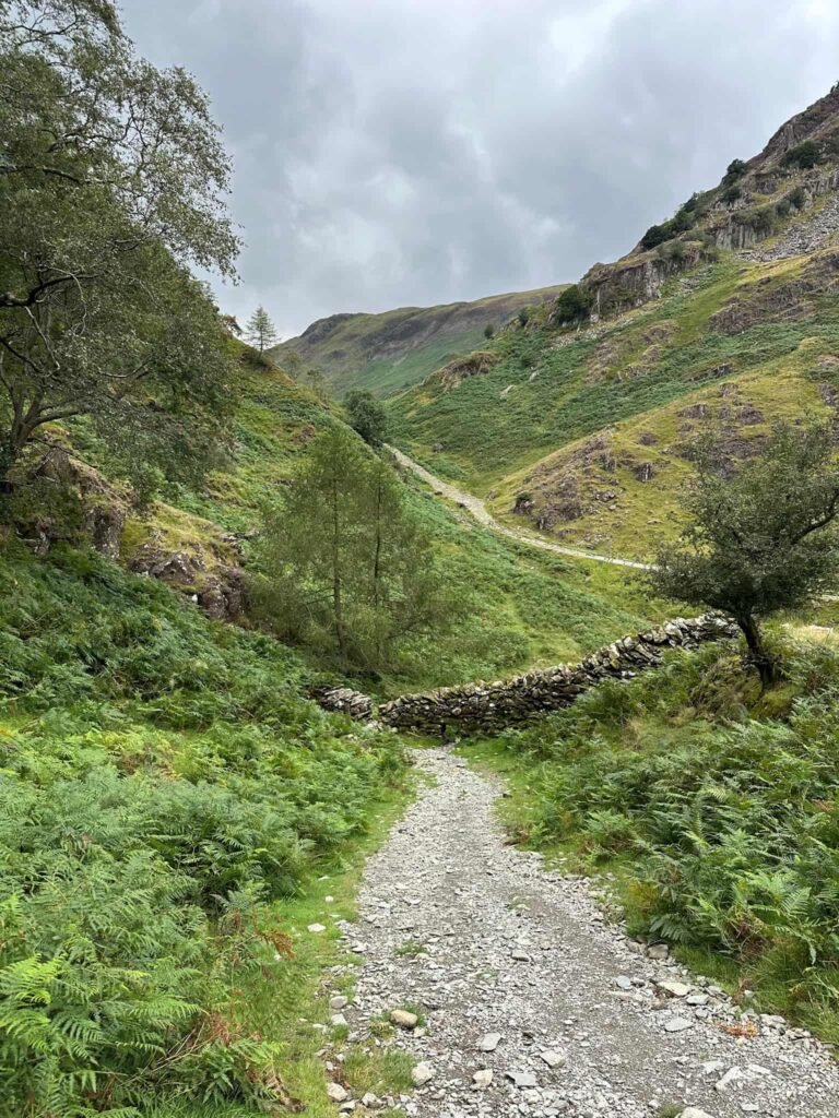 A stone track leading down to a river