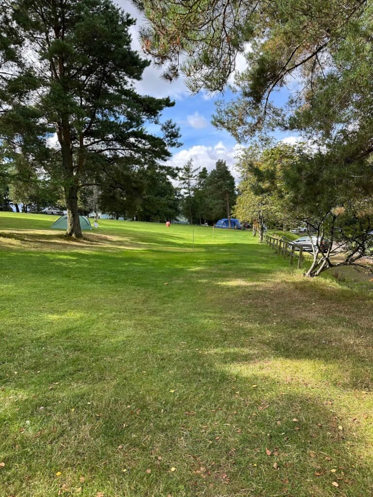 A blank pitch in a camping field